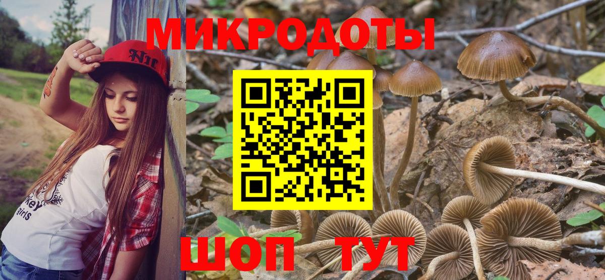 Канск  Псилоцибиновые грибы прущие грибы  Вход с VPN 