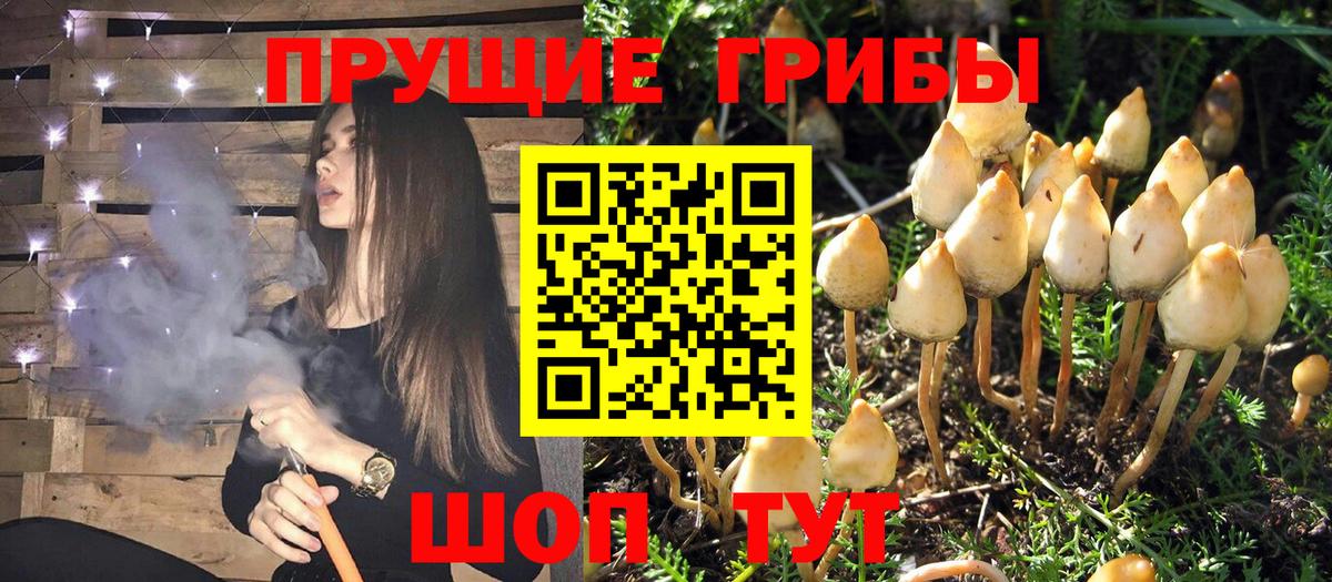 Псилоцибиновые грибы Magic Shrooms Канск